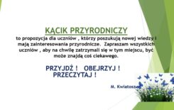 Więcej o: Kącik przyrodniczy