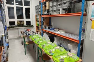 Szkolny &bdquo;Fun Lab&rdquo; na lekcji chemii
